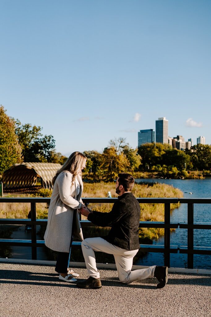 A woman exclaims with joy as a man kneels in front of her to propose while in a park in Chicago